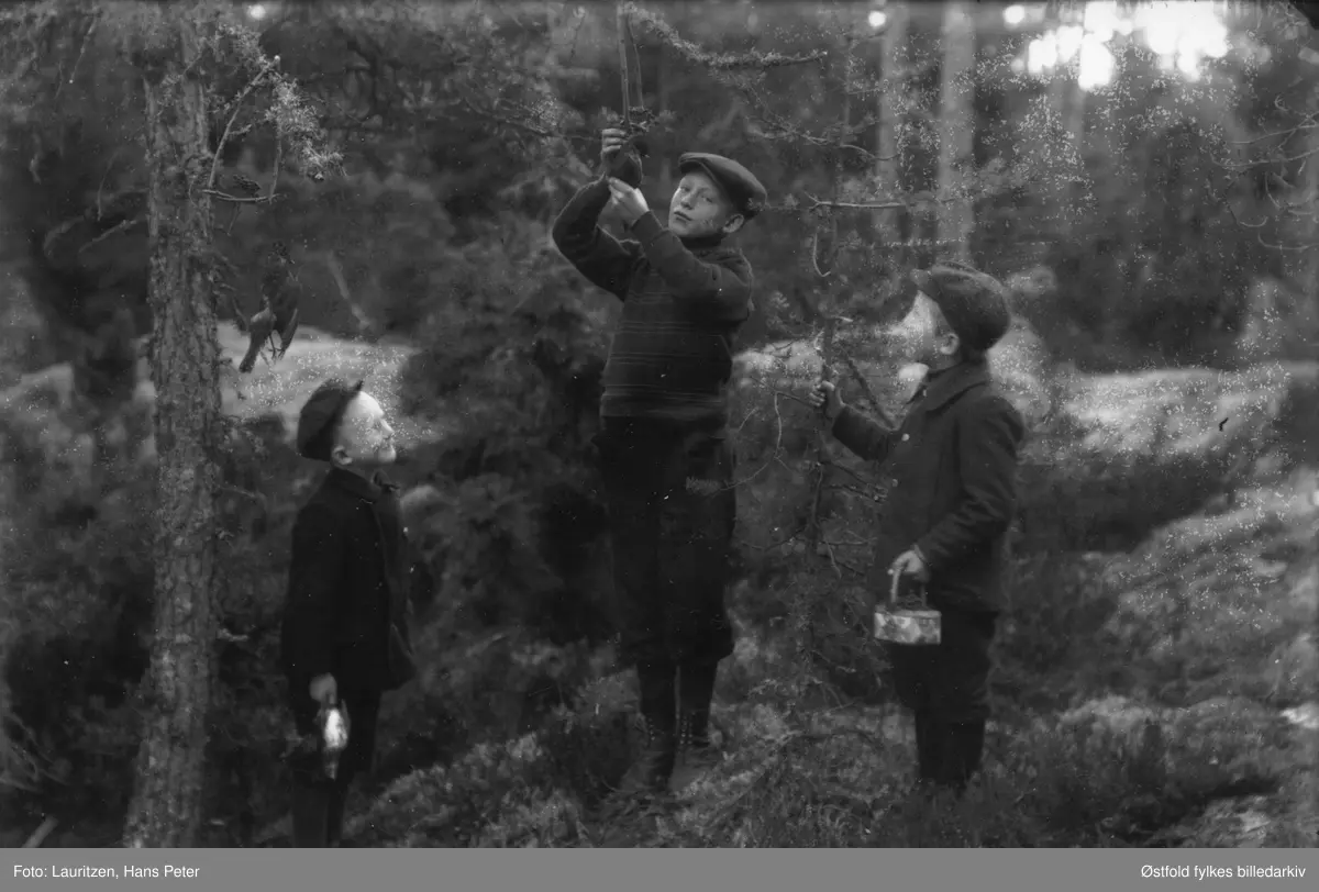 Tre gutter på skogstur sjekker en fuglesnare, ca. 1911-12. 
Fra venstre Robert William Lauritzen, sønn av fotografen.. De andre er ukjente.