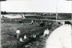 Badelunda sn.
Långby till vänster, Sörby i fonden, c:a 1919.