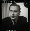 556 Herr Ridderström