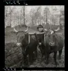 565 Kåperyd