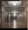 1726/H Rusk och Snusk Stockholm