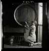 1950. Frankrike. Flicka tappar ut vin från en tunna.