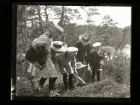 Fem barn och en kvinna studerar en myrstack.