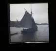 Segelbåtar. Troligtvis fotograferade under Sandhamnsregattan.