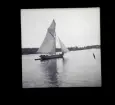 Segelbåtar. Troligtvis fotograferade under Sandhamnsregattan.