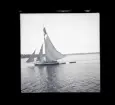 Segelbåtar. Troligtvis fotograferade under Sandhamnsregattan.