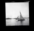 Segelbåtar. Troligtvis fotograferade under Sandhamnsregattan.