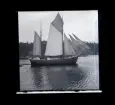 Segelbåtar. Troligtvis fotograferade under Sandhamnsregattan.