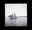 Segelbåtar. Troligtvis fotograferade under Sandhamnsregattan.