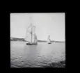 Segelbåtar. Troligtvis fotograferade under Sandhamnsregattan.