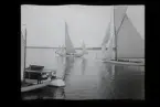 Segelbåtar. Troligtvis fotograferade under Sandhamnsregattan.