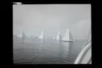 Segelbåtar. Troligtvis fotograferade under Sandhamnsregattan.