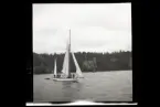 Segelbåtar. Troligtvis fotograferade under Sandhamnsregattan.