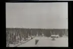 Fotografens anteckning: Utsigt från Berguddens fyr.