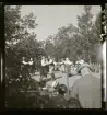 Dansuppvisning. Folkdanslag. Skansen, Stockholm.