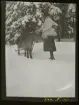 Kvinna åker släde efter häst. Skansen, Stockholm.