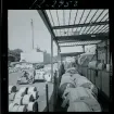 2744/1 Sieverts Kabelverk Älvsjö + en modellfotografi