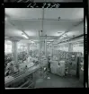 2744/1 Sieverts Kabelverk Älvsjö + en modellfotografi