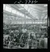 2744/1 Sieverts Kabelverk Älvsjö + en modellfotografi