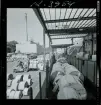 2744/1 Sieverts Kabelverk Älvsjö + en modellfotografi