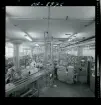 2744/1 Sieverts Kabelverk Älvsjö + en modellfotografi