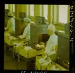 2756/6 Lincopia