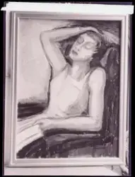 Fem stycken fotografier av Agnes Cleves verk. Alla nitratbil