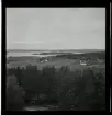 SM-orienteringen vid Engelsberg, 15 oktober 1945.