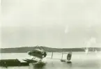 Sjöflygplan Farman HF 23 / SW 11 på Hårsfjärden vid Märsgarn, 1915. Vy från sidan.