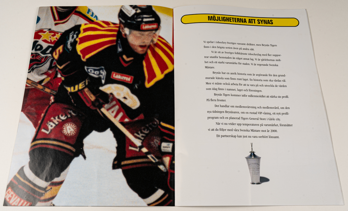 Reklamblad i färgtryck, för Brynäs Tigers.