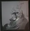 Chez Nous, Kungsgatan 29 (teaterreklam 1947).