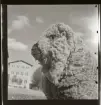 Spetz, Brita, Abrahamsberg., Stockholm, 1945-1946.