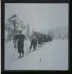 Sälen-kursen 1944 (Idrottsförbundet).