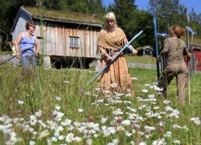 Tre damer med ljå i slåtteeng med gamle hus bak.