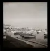 Cannes, december-januari 1948-1949.