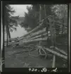 Renhagen vid Snuksajärvi. 17 augusti 1943. Gärdsgård/ staket. Detalj av konstruktionen.