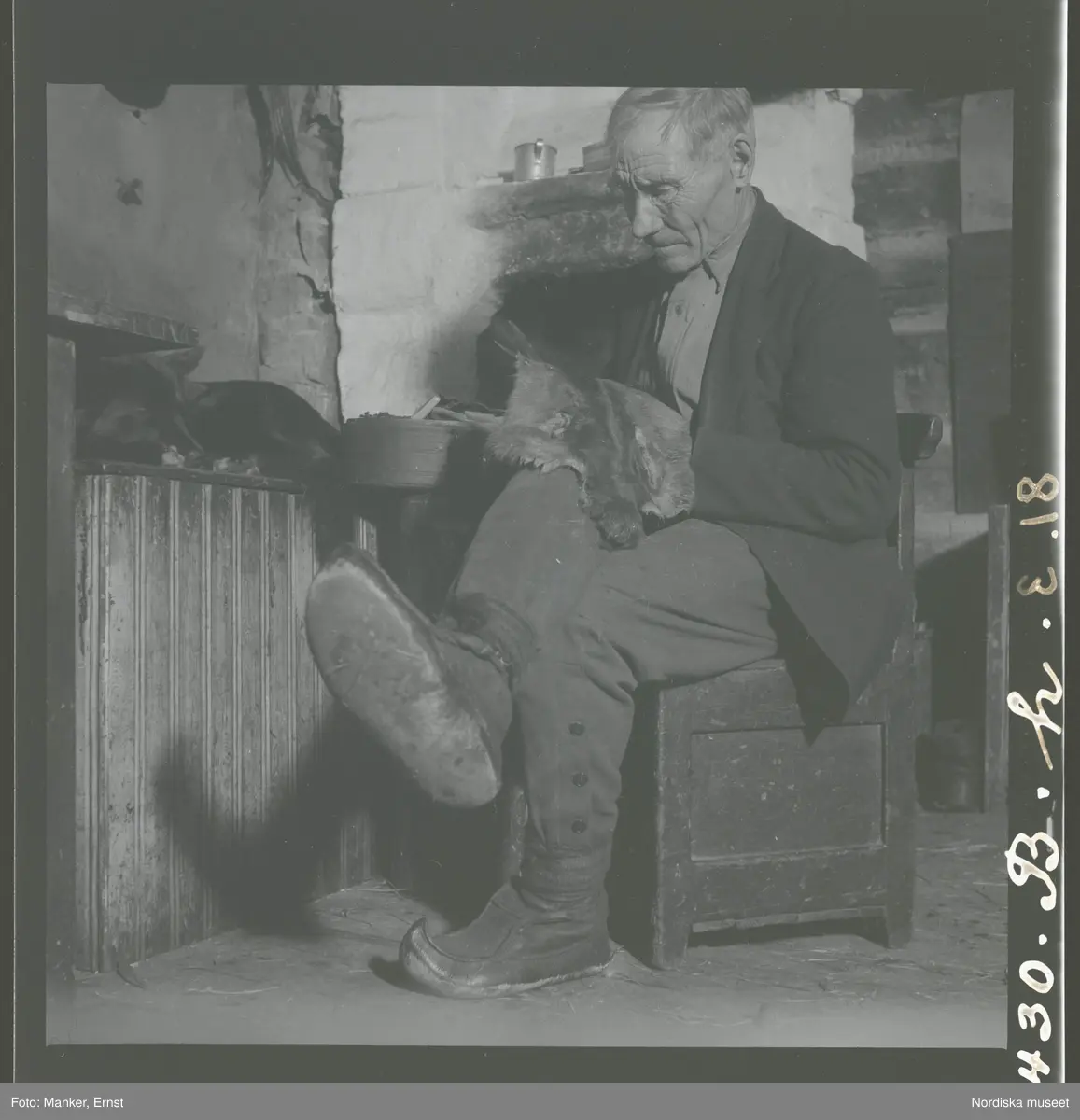 Jöns Paulus Mickelsson Hatta, f. 1878 sitter på en stol och klipper till ett skinn/päls. Renägare; skicklig tillverkare av uppstoppade renfigurer. 
Skaitas, Gällivare sn, Lappland. 29 september 1943