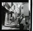 Allhem 1028 SP 2 Alger