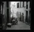 Allhem SP 24 Alger