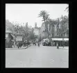 Allhem SP 25 Alger