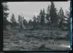 Anteckning påsiktskopia: Norrbotten, Gällivare sn. nära Neitisuando vid Kaitum älv. Veduppställning för hemkörning på vinterföre.