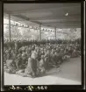 Publik bestående av barn. Skansen, Stockholm.