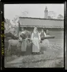 Skansen, Stockholm.