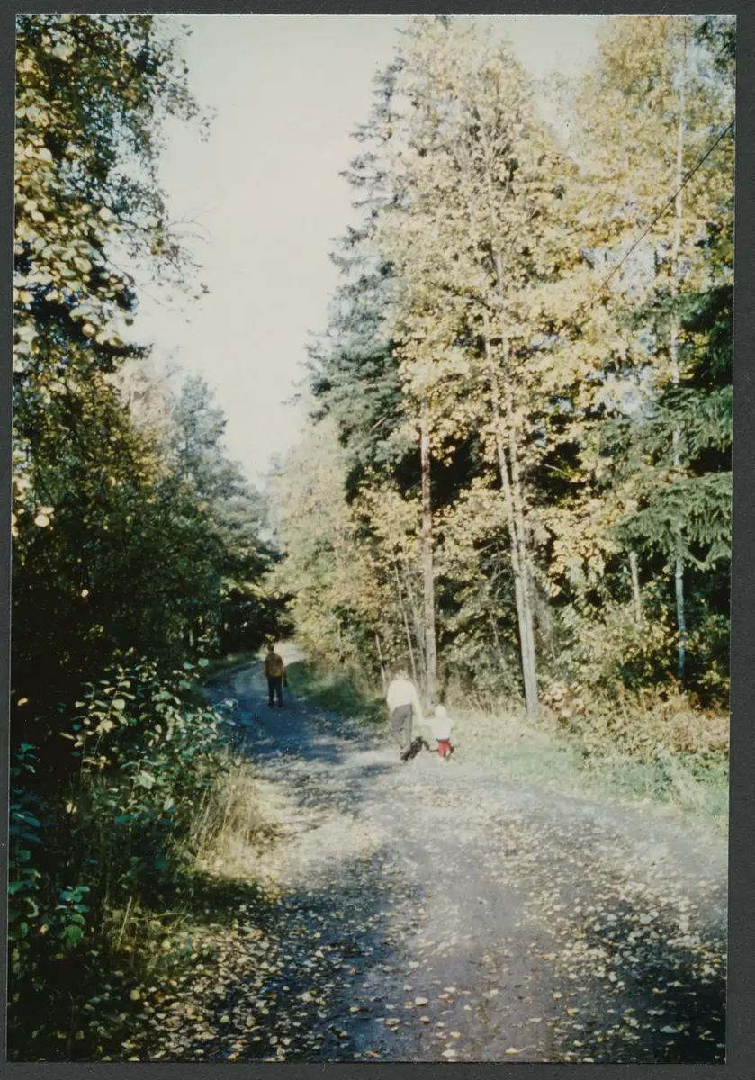 Göta Landsväg mellan Östberga och Östbergahöjden. ; BHF studiecirkel ht 2016:
Troligen taget 1961, jfr text på duplettbild bhf1407_194.
Fotograf: Åke Abrahamsson