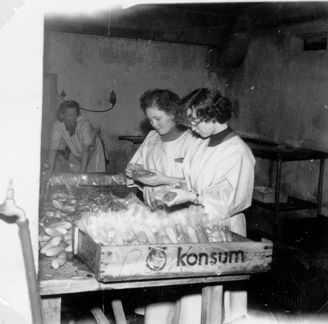 Sally och Märta  packar rödbetor. Maja Sköldehammar i bakgrunden.