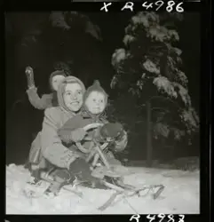 Sångerskan Alice Babs och två barn på en kälke i snön.