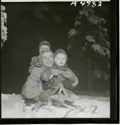 Sångerskan Alice Babs och två barn på en kälke i snön.