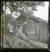 Skansen, Stockholm.