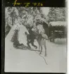 Skansen, Stockholm.