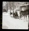 Skansen, Stockholm.